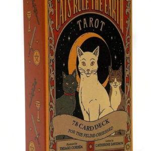 Cartas de tarot de tierra de regla de gato