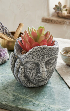 Maceta Zen Rostro Sereno con Suculenta Asunción